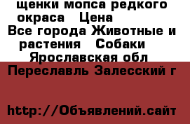щенки мопса редкого окраса › Цена ­ 20 000 - Все города Животные и растения » Собаки   . Ярославская обл.,Переславль-Залесский г.